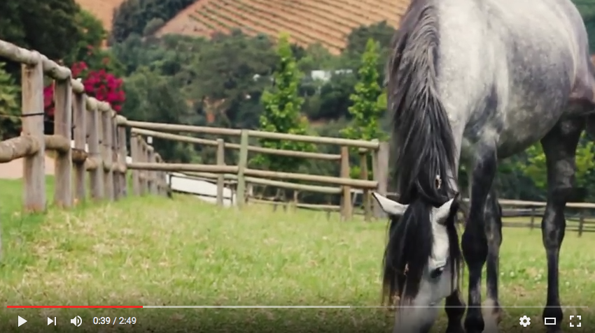 Bianca and Jason Fowkes Wedding Trailer