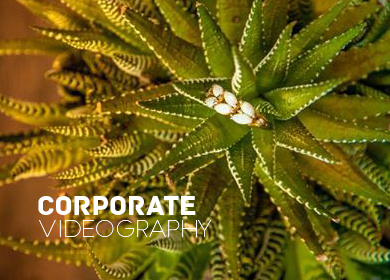 CORPORATE VIDEO